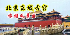 日日女人的小逼中国北京-东城古宫旅游风景区